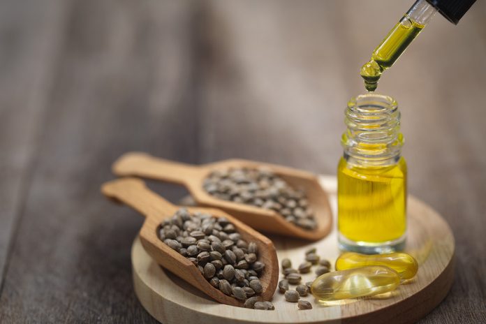 Lifting The Lid On Hemp Seed Oil