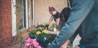 Dino Rizzo and Year-Round Outreach: Building Community Momentum Through the Rhythm of the Calendar Dino Rizzo Community Momentum