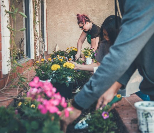 Dino Rizzo and Year-Round Outreach: Building Community Momentum Through the Rhythm of the Calendar Dino Rizzo Community Momentum